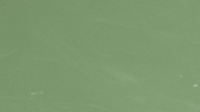 Djokovic todavía no revela si finalmente recibió alguna dosis de vacunas contra la COVID-19.