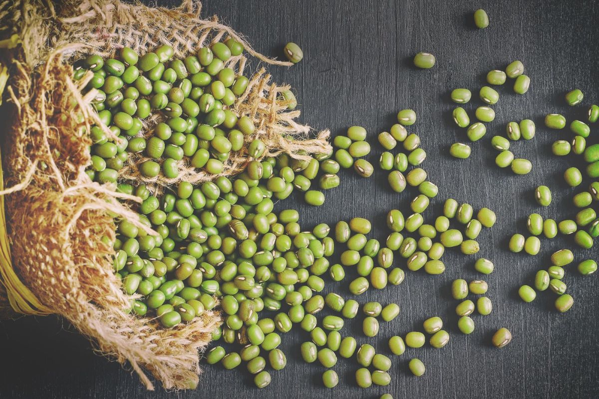 Mung beans the benefits of this coveted legume full of proteins and