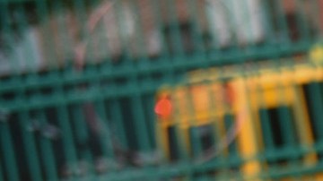 La reapertura de las escuelas no han sido del todo un alivio para muchas familias con niños que no están en edad escolar. (Foto: Cortesía Mayoral Office)