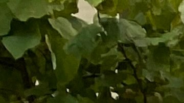 Las afueras de la casa del senador Shumer en Brooklyn ya ha sido escenario de varias protestas por la reforma migratoria.