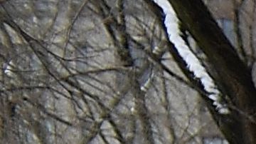 Los conductores de taxis amarillos han realizado innumerables protestas exigiendo a la Ciudad una solución a la crisis de la deuda por los medallones.