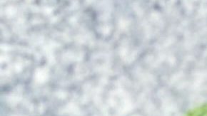 Remedios para la influenza