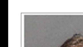 Stacia Sotiropoulos y Jaden Williams.