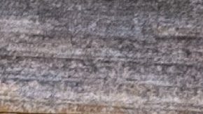 Tónicos naturales para la artritis