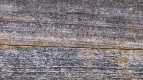 Tónicos naturales para la artritis