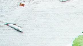 Vegetales ricos en proteína