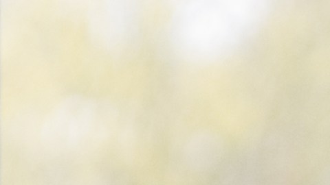 Adolescentes afeitan y queman el pelo de una anciana con discapacidad en España