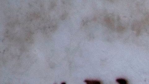 Alex Saab es extraditado a EE.UU.