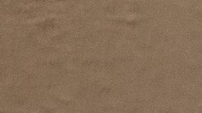 american-rescue-plan-prisiones