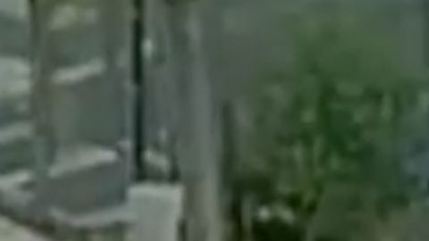 Impactante balacera frente a escuela en NYC.