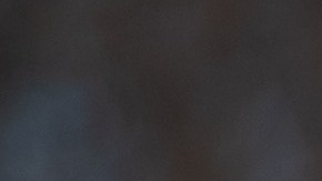 EE.UU. pide la liberación de exdirectivos de citgo detenidos en Venezuela.