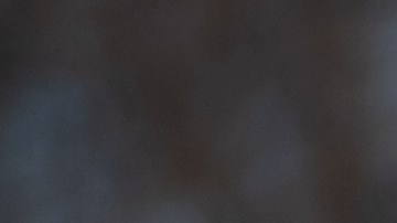 EE.UU. pide la liberación de exdirectivos de citgo detenidos en Venezuela.