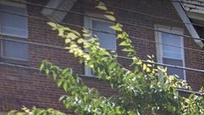 East Flatbush, Brooklyn, NYC.