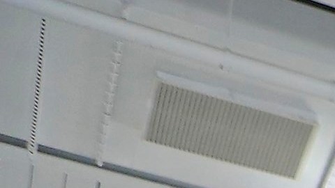 costco-shanghai-china-influencers