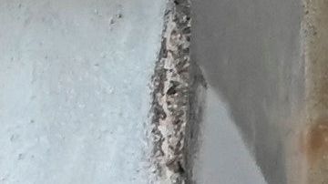 Cuba reabrirá sus fronteras a turistas.