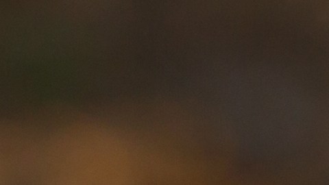 Estudios cambio climático