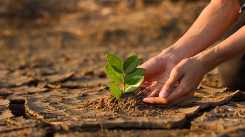 Estudios cambio climático