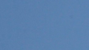 Exxon Mobil y otras petroleras son acusadas.