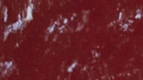 Fiesta divorcio matrimonio arregaldo viral