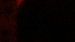 Riñas y disparos en Miami Beach la noche de halloween.