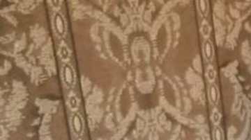 Hijo Martha Sepúlveda eutanasia