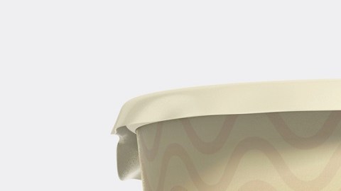 sopa instantanea