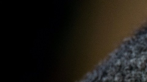 Clamidia, la enfermedad de transmisión sexual que amenaza a la población koala
