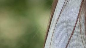 Menor de edad embarazada abuso sexual novio abuela