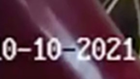 El ladrón contorsionista.