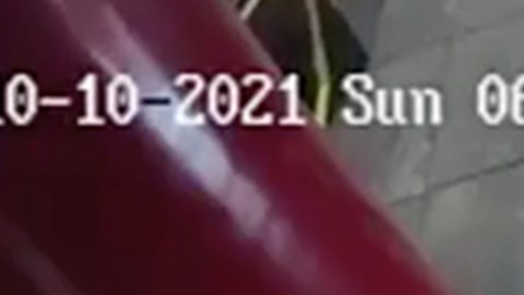 El ladrón contorsionista.