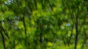 Niños demandarán Arlington muerte ameba comecerebro