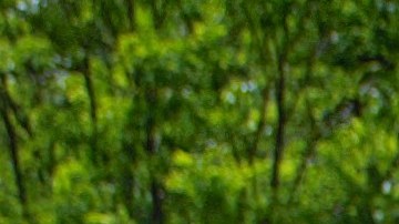 Niños demandarán Arlington muerte ameba comecerebro