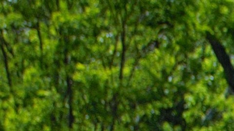 Niños demandarán Arlington muerte ameba comecerebro