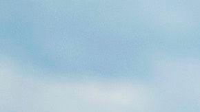 Mueren dos niños en carrera de autos en Texas.