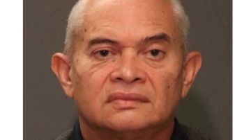 Anciano hispano abusaba de niños en guardería de El Bronx, Nueva York