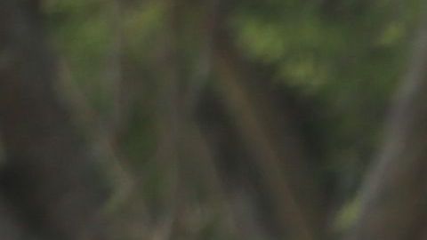 5 fallecidos y 7 heridos en tiroteo en un local de Panamá.