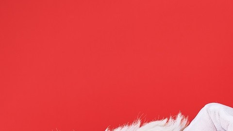 santa claus