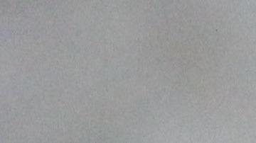 Tigre Baby Shower Dubái