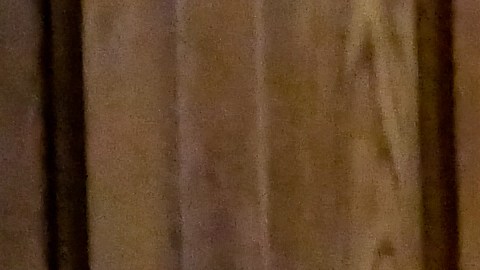 Pastor funeral resucitar