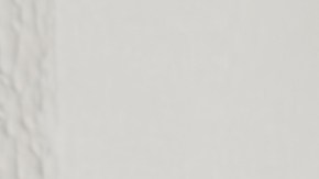 Viral Baby Shower Yegua