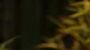 Papá de Octavio Ocaña revela que acompañantes de su hijo fueron torturados para declarar contra el actor