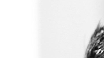 Octavio Ocaña: Convocan a marchas en México por muerte del actor.