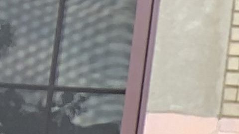 uno de cada 10 estudiantes de las escuelas de NYC son desamparados