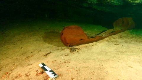 A wooden canoe used by the ancient Maya and believed to be over a thousand years old is pictured at a fresh-water pool known as a cenote and found during the archeological work accompanying the construction of a controversial new tourist train, in the state of Yucatan, in this handout released on October 29, 2021. Mexico's National Institute of Anthropology and History (INAH)/Handout via REUTERS ATTENTION EDITORS - THIS IMAGE HAS BEEN SUPPLIED BY A THIRD PARTY. NO RESALES. NO ARCHIVES