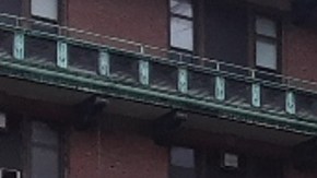 Mujer fue mordida por sus propios perros tras morir en apartamento de Nueva York