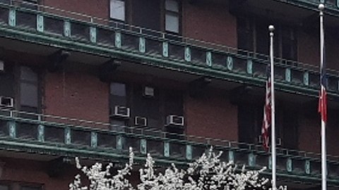 Mujer fue mordida por sus propios perros tras morir en apartamento de Nueva York