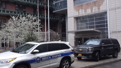 Mujer fue mordida por sus propios perros tras morir en apartamento de Nueva York