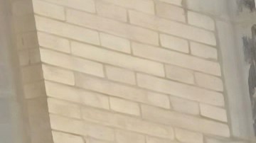 Algunas coaliciones reportan que han duplicado el número de aves que donarán esta semana.