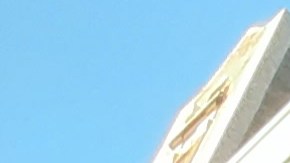 Desfile Macy’s Thanksgiving 2021.