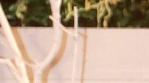 Muere Alexander Sánchez, el artista de los árboles de Navidad de los famosos